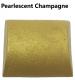 Pearlescent Pigment Champagne in Resin